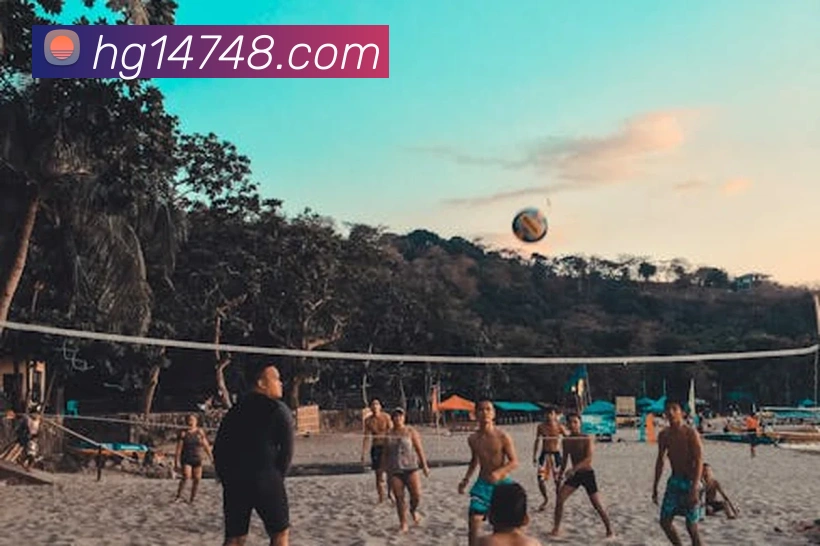 皇冠体育网站入口平台生态图